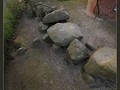 8384758982