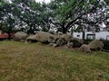 4758687437923