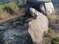 52839809542