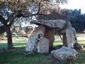 8907687904