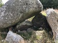 78364850163454
