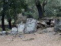 76786784665000