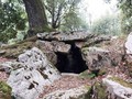 209094752