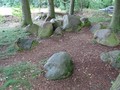 89036485023