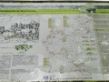 75398472