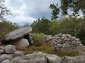 78923752380
