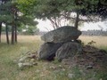 5488765960