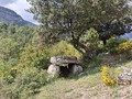 9234867572