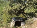 970293724