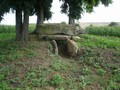 yt_DSC00312