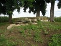 xc_DSC00313