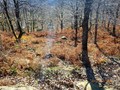 Луч из дольмена каткова щ