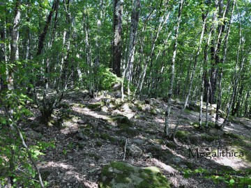 Дольмен Панасовой щели 5 — Пшада