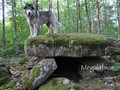 dolmen-haski