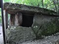 догуаб 3_11