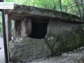 догуаб 3_12