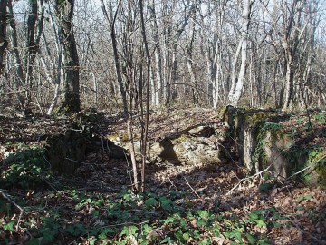 Дольмены горы Шарик — Дивноморское