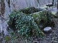 _megalithica4