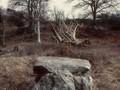 97834759237073